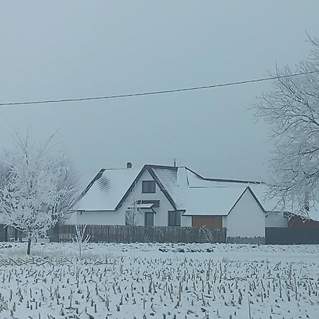 Casuta Din Deal Târgu Neamț Zewnętrze zdjęcie