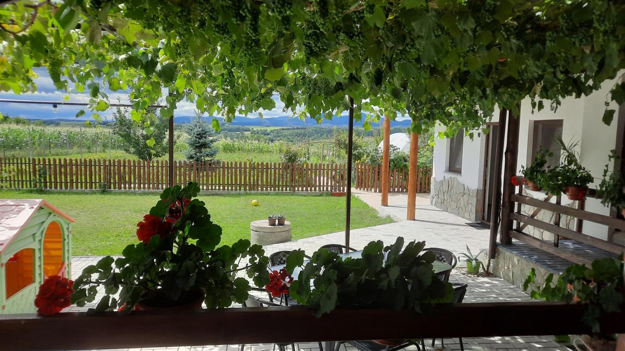 Casuta Din Deal Târgu Neamț Zewnętrze zdjęcie